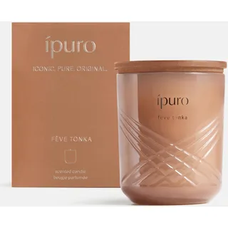 ipuro Exclusive Elegante Duftkerze im Glas FEVE TONKA 270g - Premium Kerze mit erhöhtem Duftölanteil - Hochwertige Duftkerze im Glas mit Vanille Tonkabohne & Sandelholz Duft - Raumduftkerze Wohnung