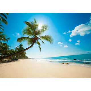 BELECO 2.1x1.5m Tropical Beach Backdrop, Sommer Strand Palme Ozean Insel Fotografie Hintergrund, Hawaii Luau Party Deko, Geburtstag Hochzeit Fotoshooting Requisiten