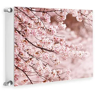 TMK ArtDeko Heizkörperverkleidung mit Magnet Stilvolle Optik 60x60 Heizkörperabdeckung,