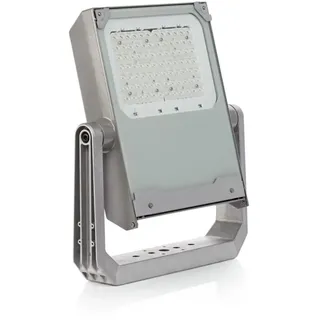 Philips Außenstrahler Aluminium, Glas 14,0 cm inkl. Bewegungsmelder grau