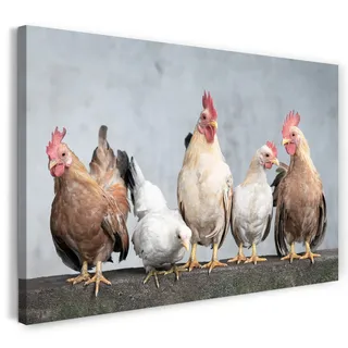 Printistico Leinwandbild (80x60cm) Hühner auf dem Zaun, Bauernhof Hahn Natur, kühle Farbe, Tier-Fotos, Natur-Fotografie, echter Holz-Keilrahmen inkl. Aufhänger, handgefertigt in Deutschland