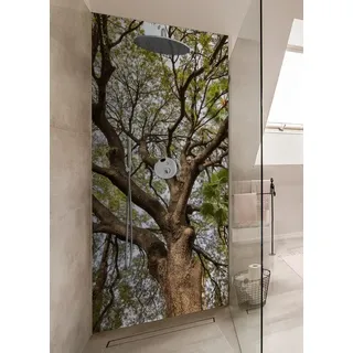 Wallario Duschrückwand Weit verzweigter Baum mit Palmen - Ansicht aus der Froschperspektive, (1-tlg) gelb 70 cm x 190 cm