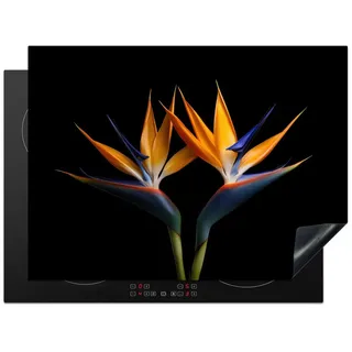 MuchoWow Herd-Abdeckplatte Pflanzen - Blumen - Paradiesvogelblume - Porträt - Schwarz, Vinyl, (1 tlg), Ceranfeldabdeckung Küche, Herdabdeckplatte Einteilig, 70x52 cm gelb|schwarz 70 cm x 52 cm x 0.2 cm