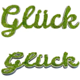 Moos Schriftzug Personalisiert, Dekorative Wanddekoration mit Echtem konserviertem Moos, Grüne Buchstaben