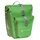 parrot green