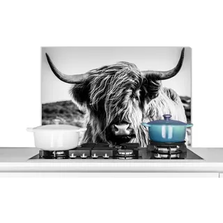 KitchenYeah© Küchenrückwand Platte Spritzschutz Küche Deko Aluminium Platte | 80x55 cm - Wandschutz Küchen Zubehör WandverkleidungKuh - Schottisches Hochlandrind - Schwarz - Weiß - Tiere