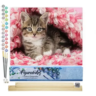 Figured'Art Malen Nach Zahlen Erwachsene Mit Rahmen Katze unter Decke - Paint by Numbers Basteln DIY Bastelset 40x50cm Mit Keilrahmen (nicht gespannt)