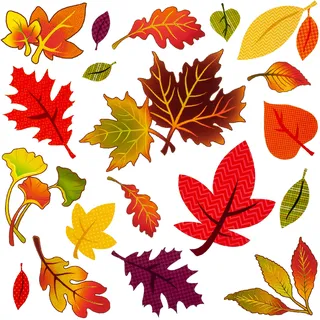 alles-meine.de GmbH Wandsticker Motivwahl Erwachsene & Kinder - 19 TLG. Set - Bunte Herbst Laub Blätter - selbstklebend + wiederverwendbar - Wandtattoo - Aufkleber Wandaufkle..