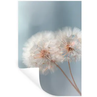 MuchoWow Wandsticker Pusteblumen - Flauschig - Weiß (1 St), Wandtattoo, Selbstklebend, Wohnzimmer, 40x60 cm 40 cm x 60 cm x 0.1 cm