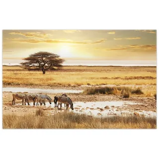 Wallario Teppich Safari in Afrika eine Herde Zebras am Wasser, rechteckig, rutschfest gelb 90 cm x 140 cm
