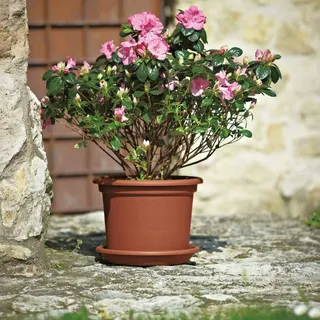 Euro3Plast Geo Ø 50 x 38 cm terracotta