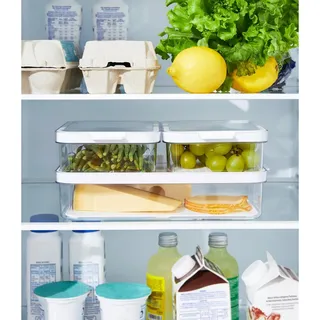 Rotho Kühlschrankbox Cauma, Weiß, Kunststoff, 20x12x28.4 cm, BPA-frei, Reach, DIN EN ISO 14001, DIN EN ISO 9001, Küchenzubehör, Vorratsbehälter, Frischhaltedosen