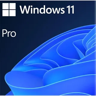 Microsoft Windows 11 Pro ESD + PKC ML