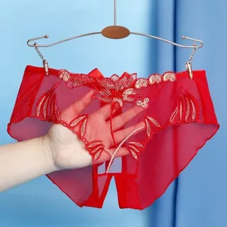 Nahtlose Slips Panties für Damen mit floralem Mesh und transparentem Design (L Rot)