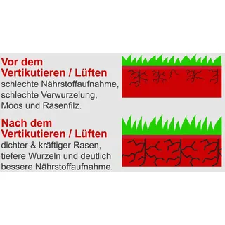 SCHEPPACH Benzin-Vertikutierer SC55P 40 cm Arbeitsbreite