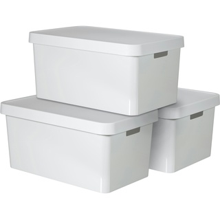 CURVER Archivboxen INFINITY, 58 x 40 x 43 cm, 45L, mit Deckel, weiß, 3 Stück