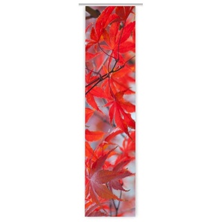 gardinen-for-life Schiebegardine Herbstlaub - TOLLE FARBEN - Schiebevorhang 60 cm x 260 cm