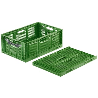 DIE BOX FABRIK Obst/Gemüsekiste - Kunststoff Faltbox 600x400x230 mm