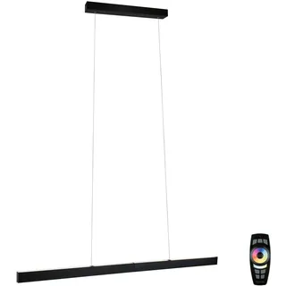 Paulmann Aptare 1-flg. 36 W 150 cm eckig schwarz