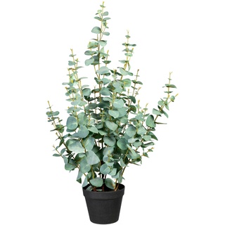 CREATIV green künstliche Pflanze Eukalyptus Silverdollar, ca 80cm, grüngrau, im Kunststofftopf 15x13cm, mit Erde