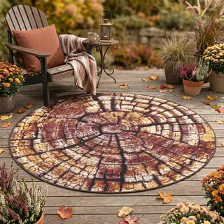 Gino Falcone Aurora GF-095 Kurzflorteppich Ø 300 cm Braun/Mehrfarbig