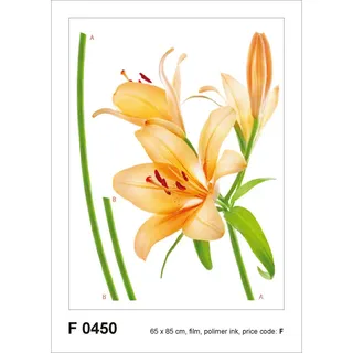 Sanders & Sanders Wandtattoo Blumen Orange, und Grün 65 x 85 cm, 600256
