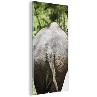 Famanu Glasbild Wanddekoration - Elefanten im Wald - 40x80 cm - Mehrfarbig