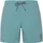 DAVEY beachshort Arcticgreen