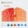PKC Android iOS Mac Win