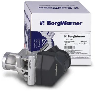 BorgWarner AGR-Ventil 710327D/1