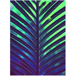 KOMAR Wandbild Hide 30 x 40 cm