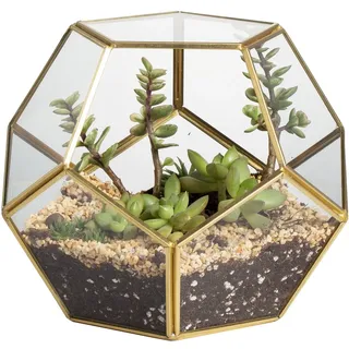 NCYP 17,5x15x17,5cm Handmade Blumentopf Gold Messing Tischplatte Geometrische Pentagon Kugelform Offenes Terrarium für Sukkulente Luft Pflanzenhalter Glas Display Pflanzgefäß (Ohne Pflanzen)