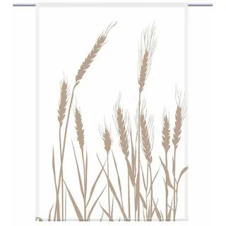 gardinen-for-life Scheibengardine Cereal 24 - blanco cappuccino - eckiger Scheibenhänger - B-line 60 cm x 125 cm