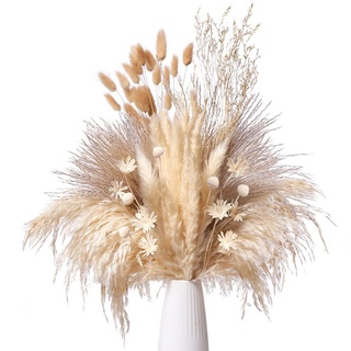 Pampasgras Getrocknet Natürliche Trockenblumen, Getrocknete Pflanzen Pampas Grass Deko für Wohnzimmer Schlafzimmer, Boho Getrocknete Schilfgras und Kaninchenschwanzgras für Heim Decor