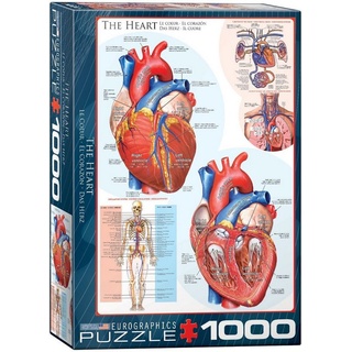 empireposter Puzzle Das menschliche Herz - Anatomie Puzzle - 1000 Teile Puzzle im Format 68x48 cm, 1000 Puzzleteile