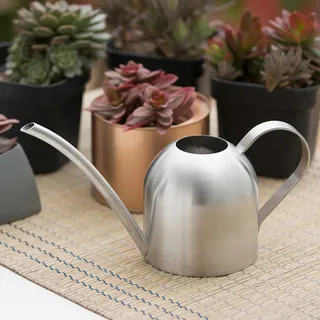 Mumusuki Edelstahl Gießkanne Topf Zimmerpflanzen Langer Auslauf Gießkanne Modern Style Gießkanne(500 ml)