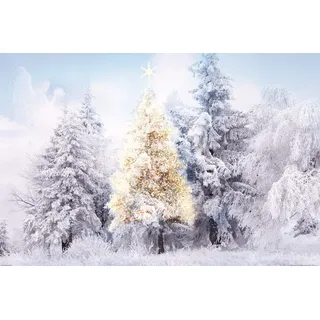 1art1 Weihnachten XXL Poster Im Verschneiten Winterwald Plakat | Bild 120x80 cm