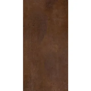 Winwall Duschrückwand Aluverbund Rost braun, 1 Stück, 2500x1000 mm