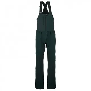Scott W VERTIC 3L PANTS Skihose Grün S