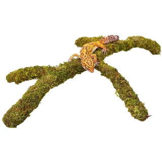 Jinymral Verstellbare Moos-Kletterstange für Leopardgeckos – Natürliches Reptilien Kletterspielzeug, Terrarium Zubehör & Habitat Dekoration