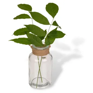 Set von 24 Mini-Vasen - Gläserne Vasen - Dekorative Flaschen - Tischvase - Jute Schnur - Transparent