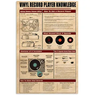 Blechschild Vinyl-Plattenspieler-Wissensplaketten Plattenspieler-Infografik Warnschilder Lustiges Plakette Poster Nostalgie Retro Schilder Für Garage, Home, Office 20x30cm
