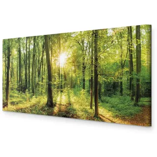murando - Leinwandbild Baum Bäume Natur, Schlafzimmer, Wohnzimmer, modern | Hochwertige Leinwand, sofort aufhängbar, ideal fürs Wohn- oder Schlafzimmer, wasserfest und lichtecht, langlebig, stilvoll