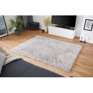Andiamo Teppich Alpa grau 50 x 110 cm