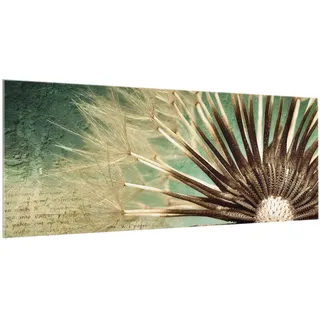 micasia Glas Spritzschutz magnetisch 4 mm starke Küchenrückwand Blumen Glasrückwand - Made in Germany - Modern Pusteblume Wandpaneel Küche Herd Magnetwand 1029-M (125x50cm)
