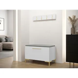 MIRJAN24 Garderoben-Set Zilion VIII, (Komplett-Set, Schuhschrank, Gepolstertes Paneel 84x42), Auswahl aus Fronten und Polsterplatten grau