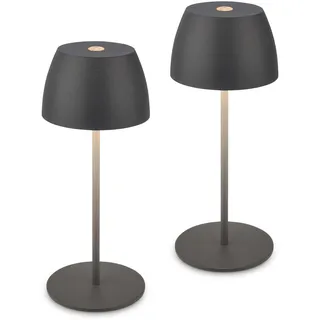 Briloner Serina Anthrazit 2 St.