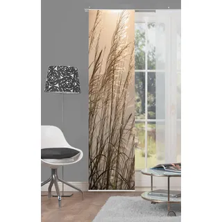 Home fashion Caruso Schiebevorhang Digitaldruck, Stoff, Natur, 245 x 60 cm