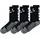 3er Pack 43-46