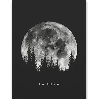 Poster-Set, Mehrfarbig, Papier, 40x0.5 cm, Bilder und Zubehör, Wandbilder, Leinwandbilder